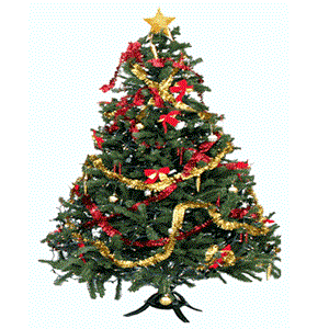 Christmas Tree Donations